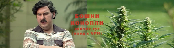 метамфетамин Инта