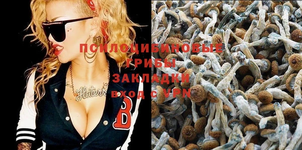 марки nbome Инсар