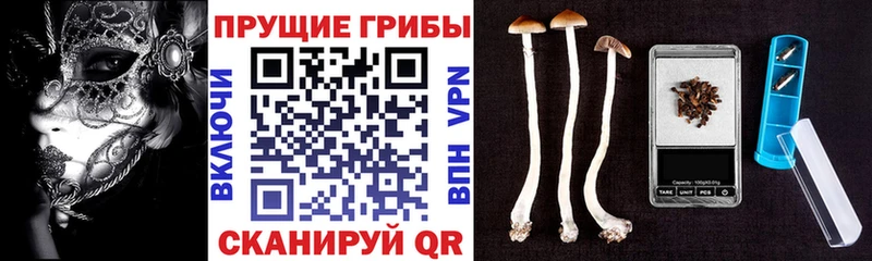 Купить закладки  Вичуга  Псилоцибиновые грибы Magic Shrooms 